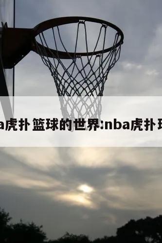 nba虎扑篮球的世界:nba虎扑球队